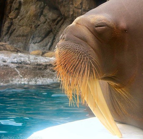 436736612_444fccad9c1