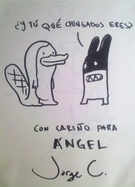 ornitorrinco cavazos