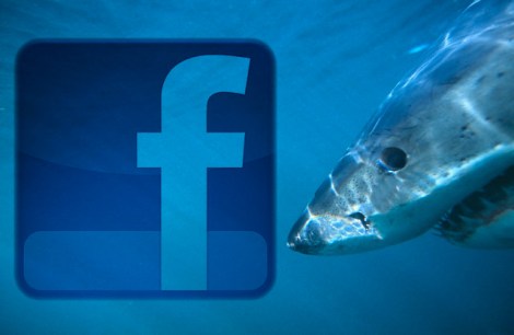 Facebook Shark