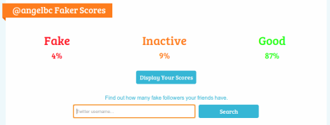 Fake Followers 1