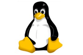 Linux el OS mas usado en Internet