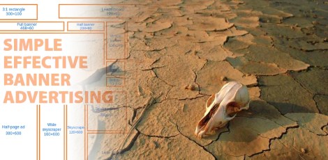 Cuando el Destino Alcance a la Publicidad en Internet Peak Advertising