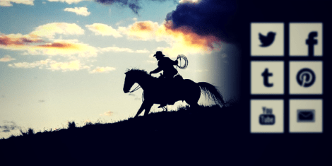 La Web Domesticada El final del Salvaje Oeste