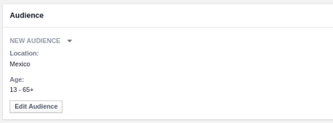 Usuarios Instagram mexico audience